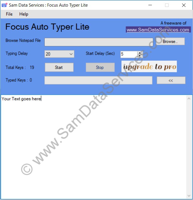 Focus Auto Typer Lite Automation Operational Screen